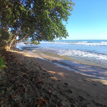 Escape Caribeno Hotel Puerto Viejo de Talamanca Bagian luar foto