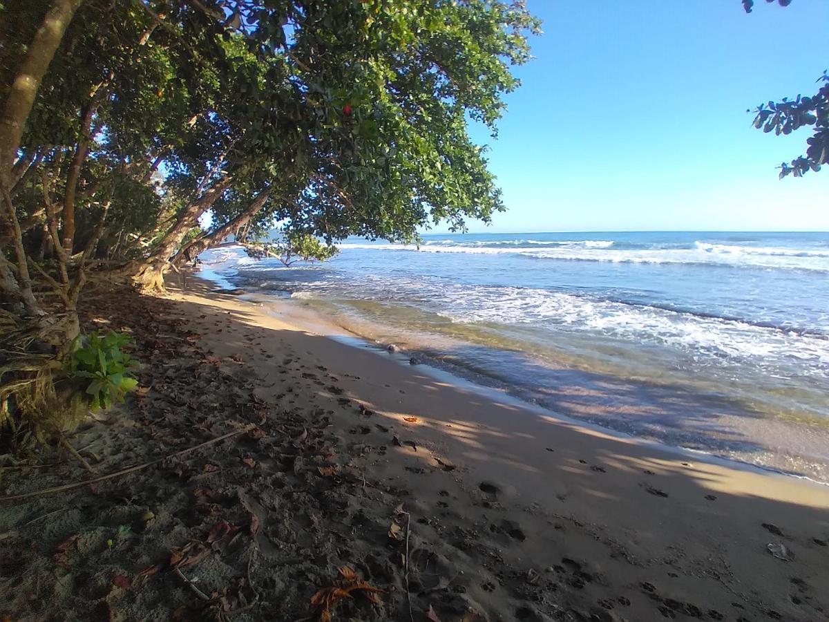 Escape Caribeno Hotel Puerto Viejo de Talamanca Bagian luar foto