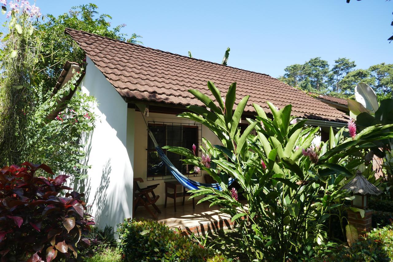 Escape Caribeno Hotel Puerto Viejo de Talamanca Bagian luar foto
