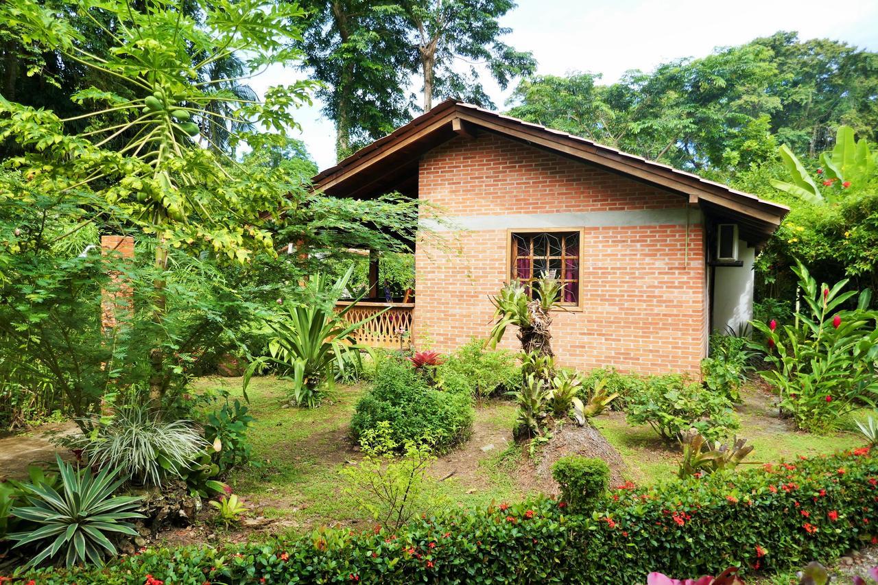 Escape Caribeno Hotel Puerto Viejo de Talamanca Bagian luar foto