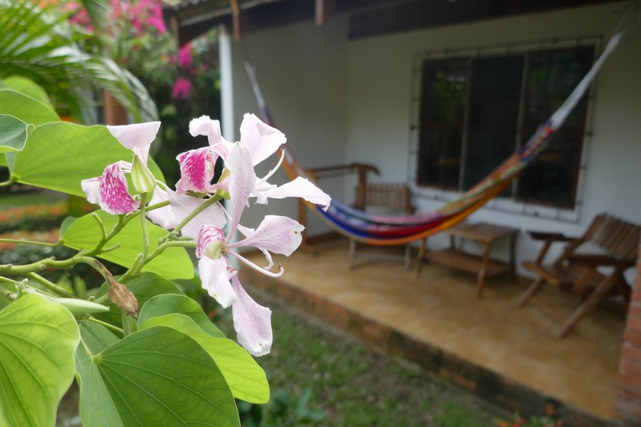 Escape Caribeno Hotel Puerto Viejo de Talamanca Bagian luar foto