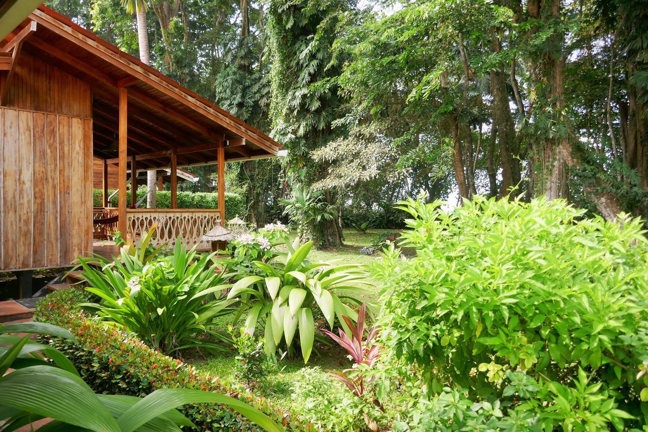 Escape Caribeno Hotel Puerto Viejo de Talamanca Bagian luar foto