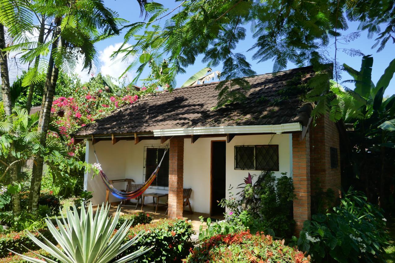 Escape Caribeno Hotel Puerto Viejo de Talamanca Bagian luar foto