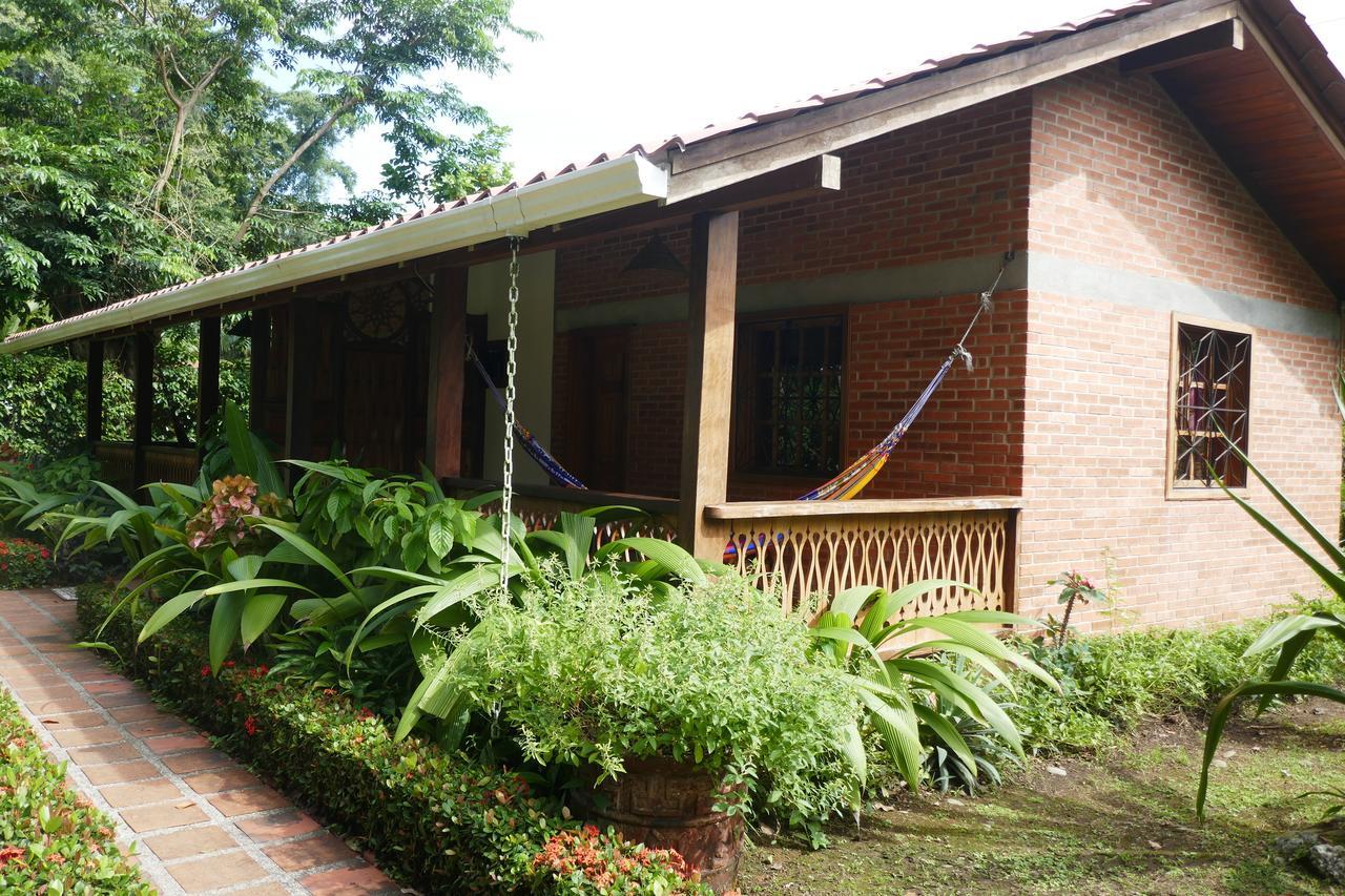 Escape Caribeno Hotel Puerto Viejo de Talamanca Bagian luar foto