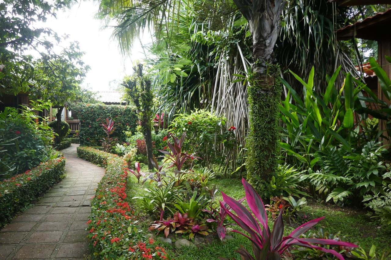 Escape Caribeno Hotel Puerto Viejo de Talamanca Bagian luar foto