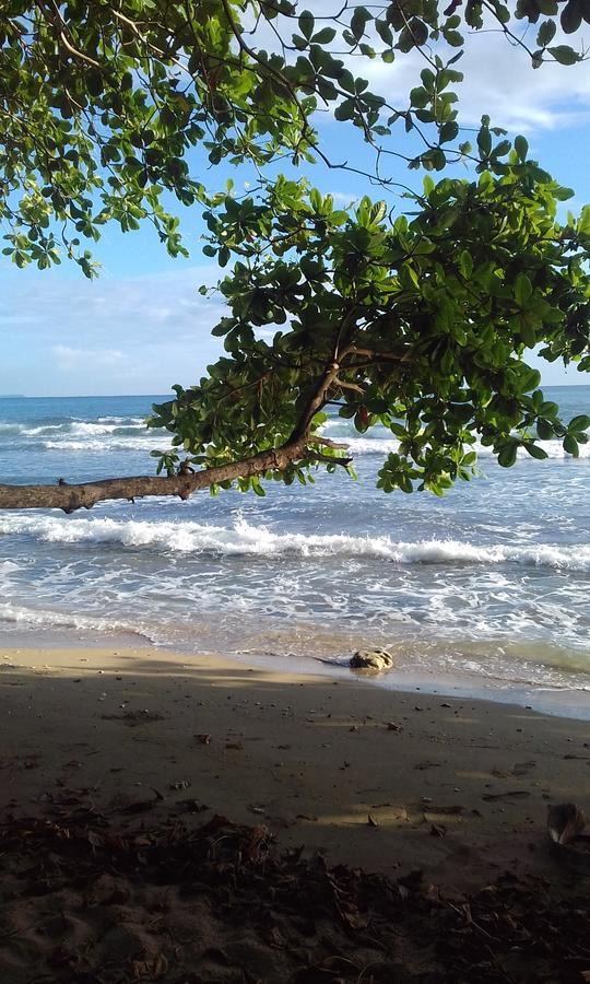 Escape Caribeno Hotel Puerto Viejo de Talamanca Bagian luar foto