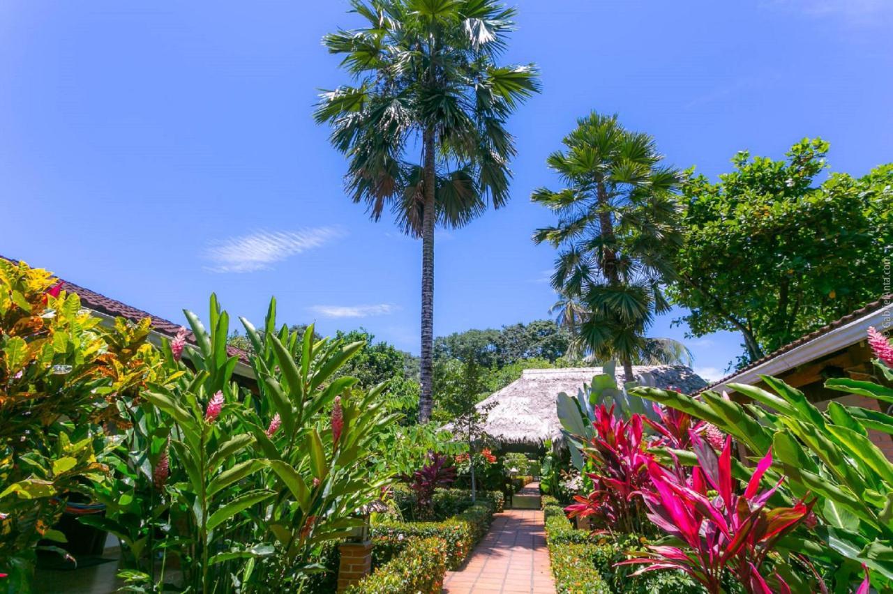 Escape Caribeno Hotel Puerto Viejo de Talamanca Bagian luar foto